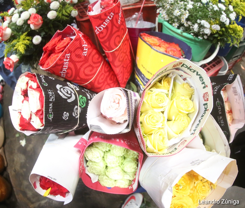 FLORES